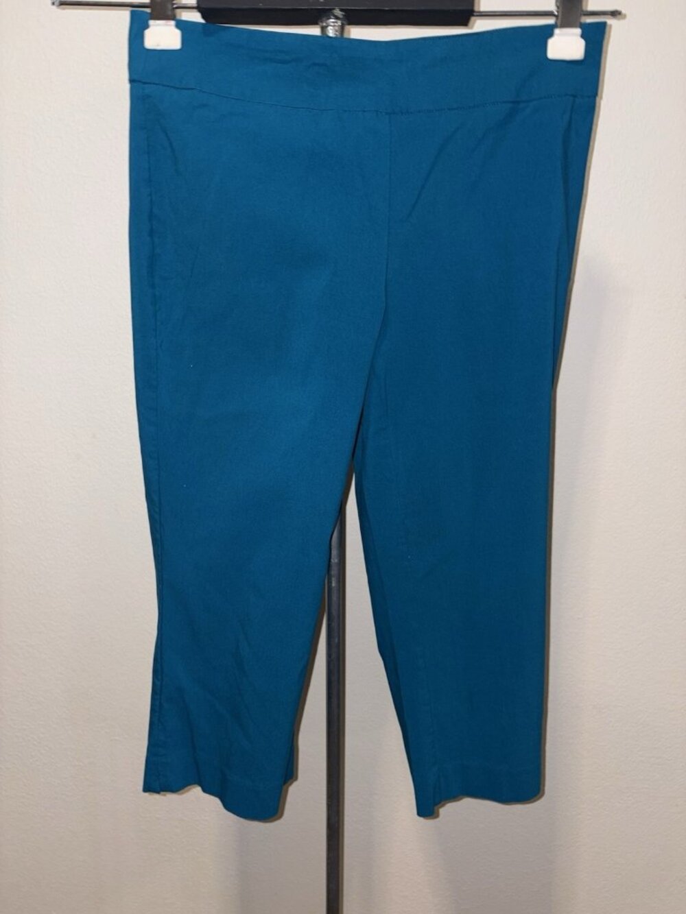 Dana Buchman Women's Aqua Capri Pants Flat Front Solid Regular Size M